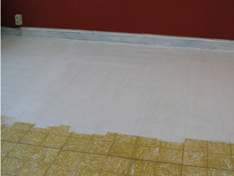 Rust-Oleum 3333 Super Adhesive Primer