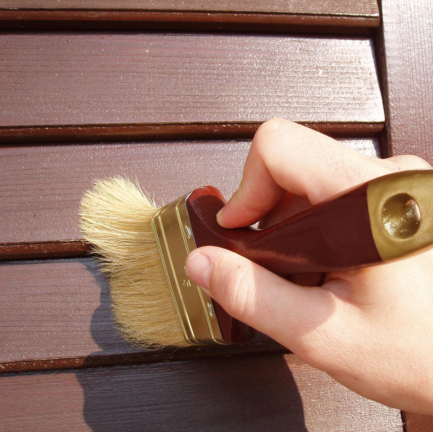 Wood Coatings & Treatment