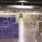 Rust-Oleum 5401 Epoxy Impregnation Primer