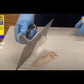 Palace Patching Plaster